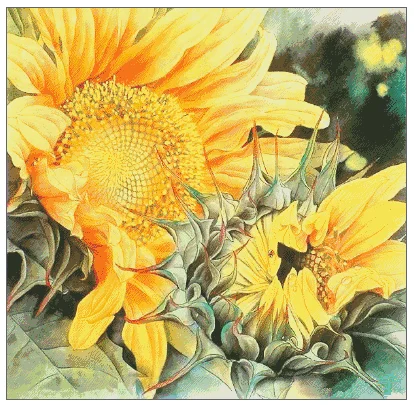 

Flowers Sunflower Top Quality Cross Stitch Kits 14CT Unprinted Sewing kit for Embroidered Art Handmade Home Decor