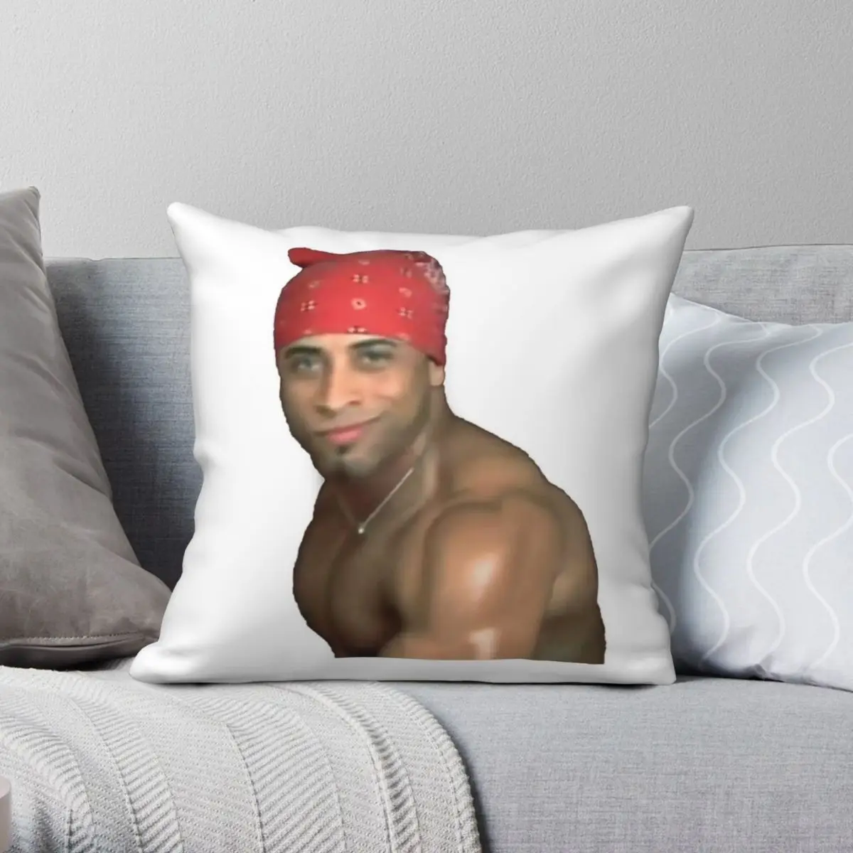 Ricardo Milos Meme Square Pillowcase Polyester Linen Velvet Printed Zip Decor Room Cushion Cover 45x45