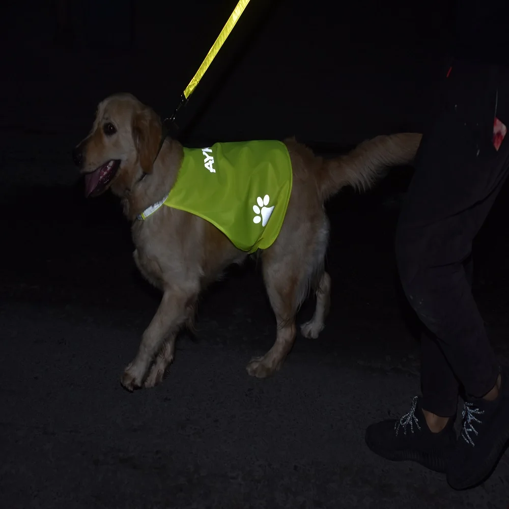 AYKRM Pet Reflective Vest Jacket Coat High Visibility Fluorescent Puppy Safety Outdoor Dog Shirt Paw Printed Hi Vis Comfortable