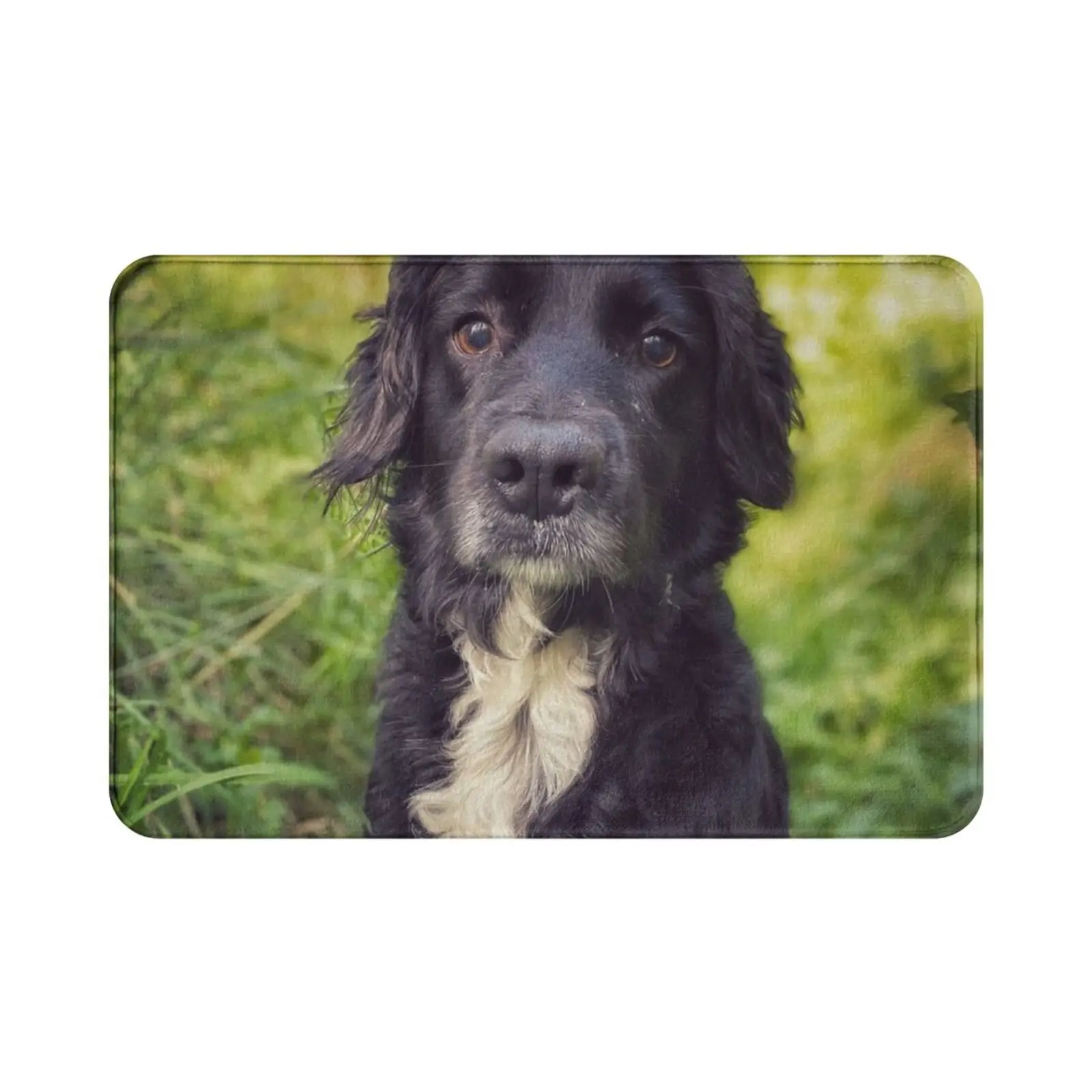 Black Spaniel In The Grass Carpet Mat Rug Cushion Soft Non-Slip Black White Green Vintage Vignette Dog Hound Puppy Cute