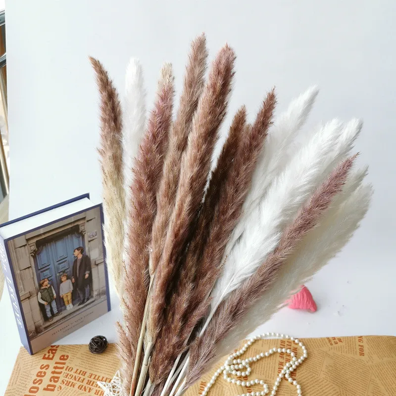 Special Offer Dekoration Reed Natural Dried Small Pampas Grass Real Plants Home Decor Wedding Decoration Flores