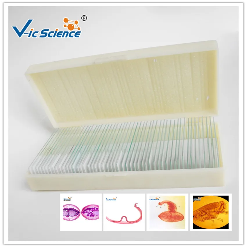 50 pz microslides preparato slides set