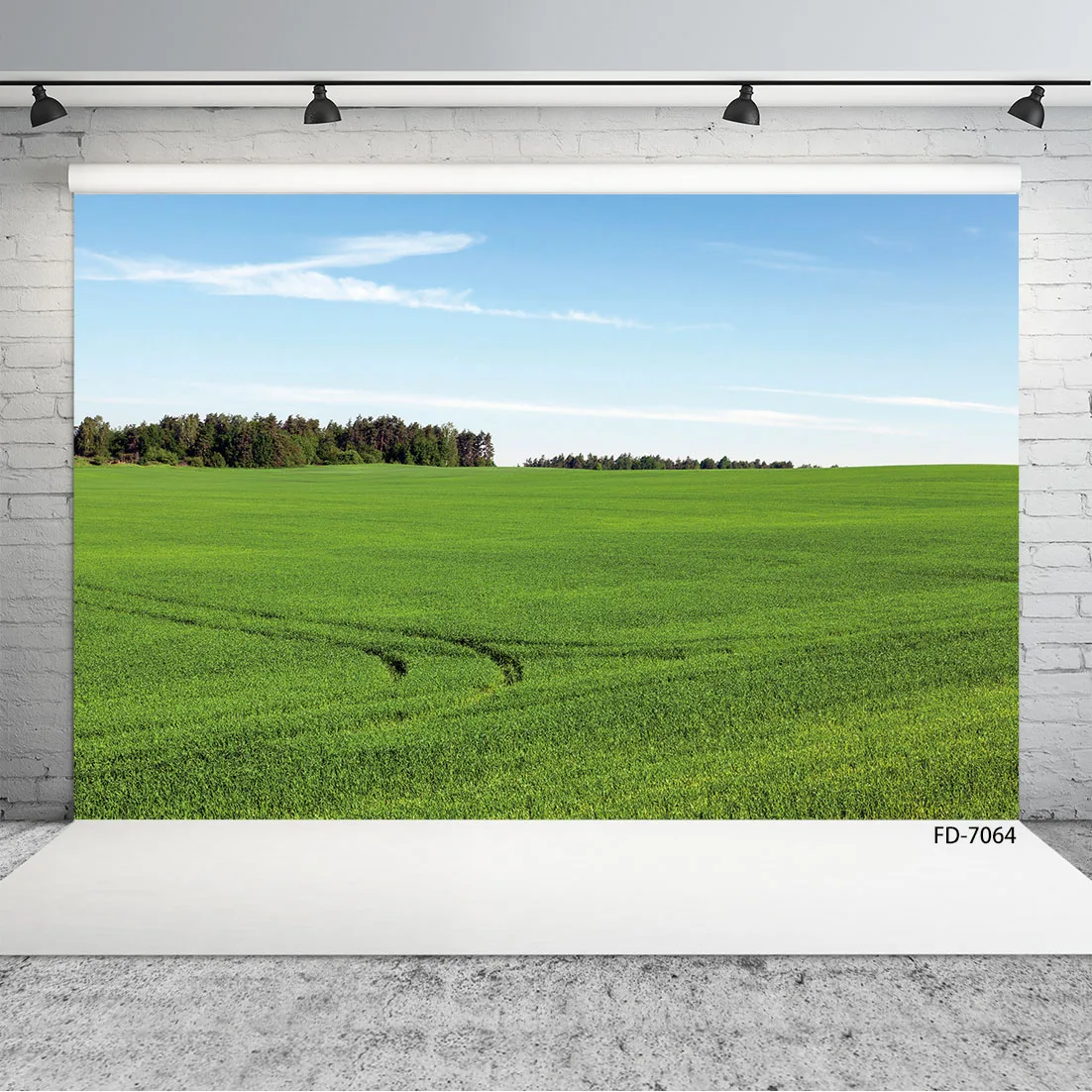 Photography Backdrops Grassland Field Landscape Customized Background Photo Studio for Children Baby Portrait Scenery Photoshoot