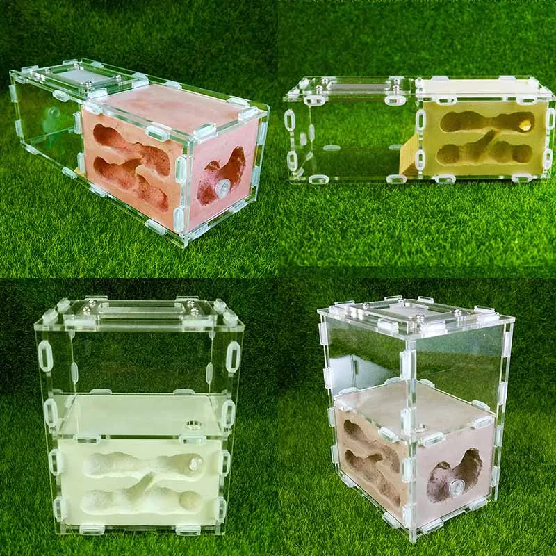 Rectangular Bionic Acrylic Plaster Nest Ants Farm House	 Reptile Terrarium 4 Colors To Choose From