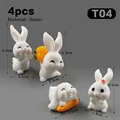 4 piezas Rabbit-T04