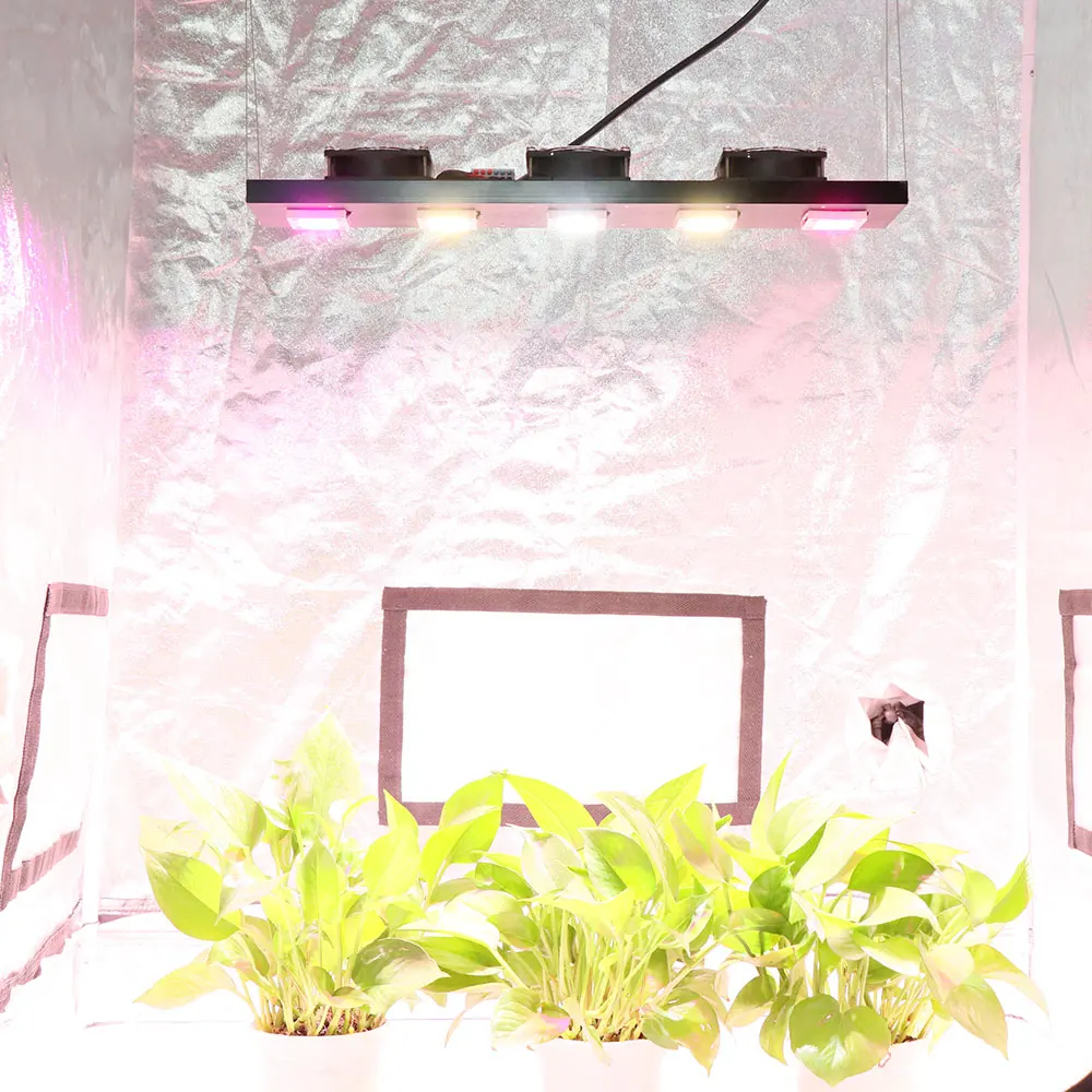 植物成長用のフルスペクトルLEDライト,300W,フィルム植物,温室用の園芸照明