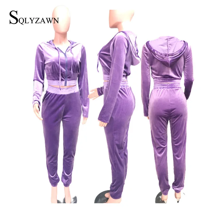 Velvet Suit Famale Autum Long Sleeve Cropped Jacket Trousers Casual Women Purple Blue Loose Sporty Set Velour 2ps Matchig Set