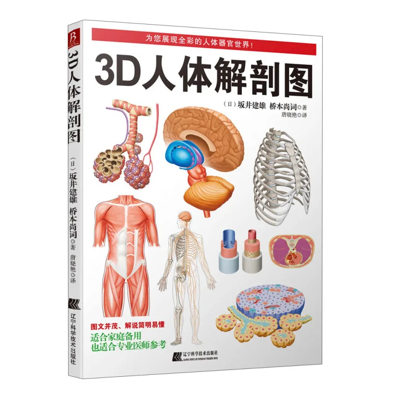 3D Human Anatomy Diagram Human muscle sports anatomy Medical book