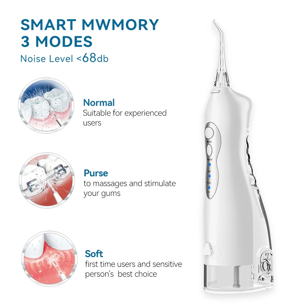 Oral Irrigator USB Rechargeable Water Flosser Family Travel Gift Portable Dental Water Jet Water Tank Waterproof 5 Nozzle