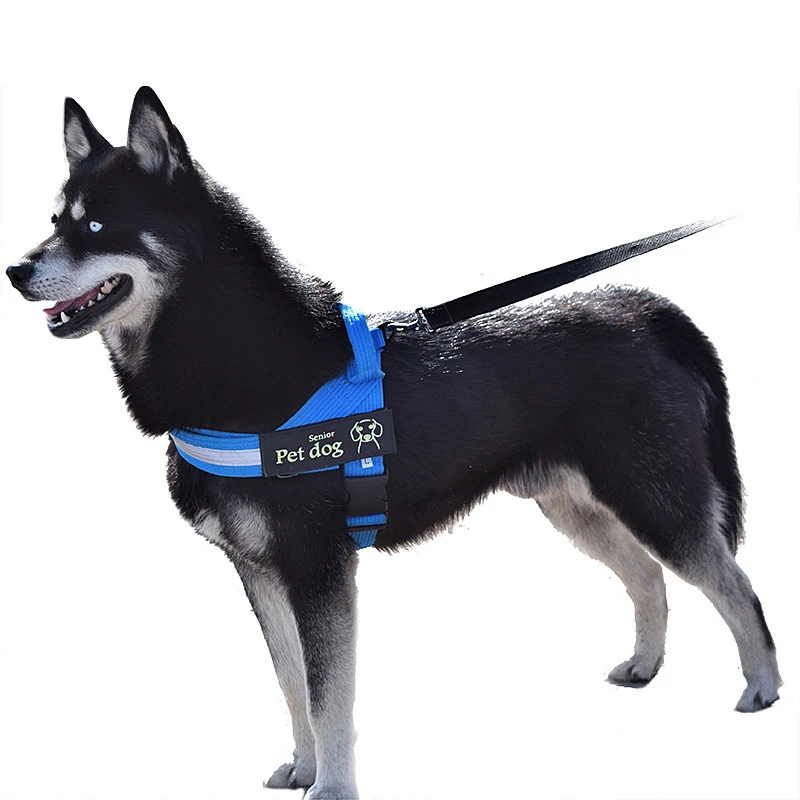Black Red Blue Light Weight Reflective Pet Dog Harness With Letter Stickers No Pull Adjustable Nylon Harness For Large Dogs image 3