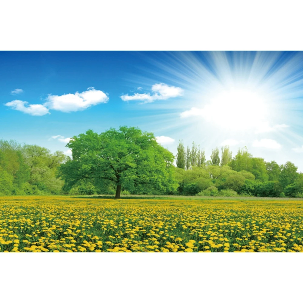 Yeele الربيع الغابات المراعي الزهور الطبيعية مشهد التصوير خلفية التصوير الديكور الخلفيات للصور استوديو