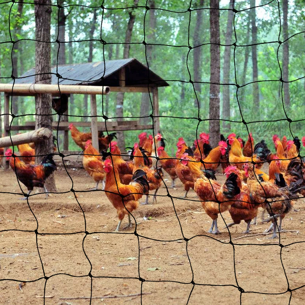 30m/25m/15m/10m siatki przeciw ptakom ptak netto siatki ogrodowe płot ogrodowy i uprawy ochronna siatka ogrodzeniowa Anti Bird Deer Cat Dog