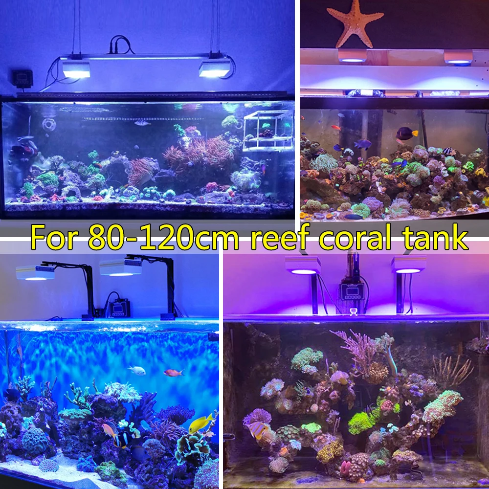 Imagem -06 - Lâmpada Led para Aquário Programa Inteligente Iluminação Marinha para 80120cm 48 Polegadas Sps Lps para Tanque de Peixes Coral Popblo-rs90