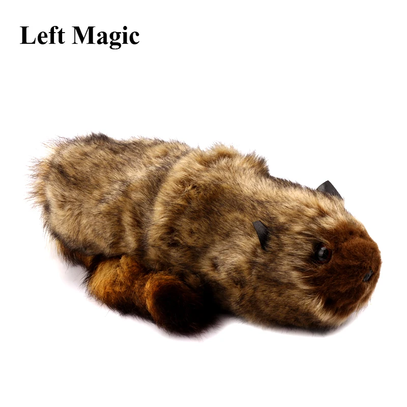 Magic Tricks The Rocky Raccoon Magia Robbie Professional Magician Street Gimmick Easy To Do Spring Animal Toy