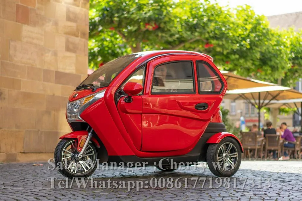 EEC COC دراجة ثلاثية للتنقل الدراجة/ثلاثة مقاعد عربة الركاب/3 عجلات E-دراجة ثلاثية العجلات مع المقصورة تاكسي للبالغين