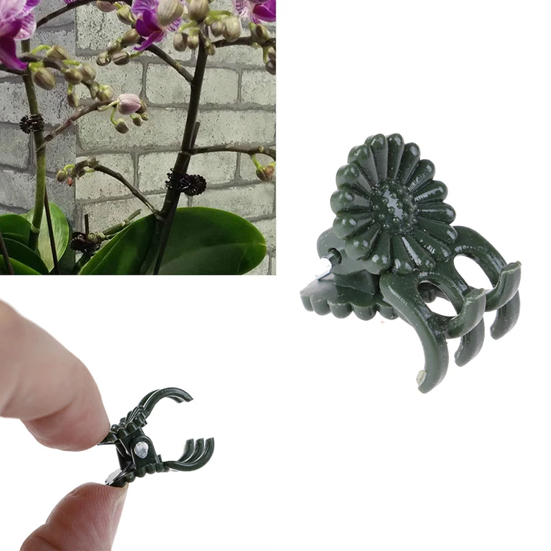 20Pc Plastic garden clip Special clip for Phalaenopsis Graft clip Plant vine clip Orchid Stem Vine Support Bundle Gardening Tool