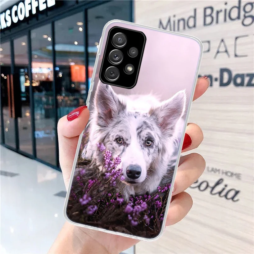 Border Collie Clever For Samsung Galaxy A15 A14 A13 A12 A55 A54 A53 A52 Phone Case A32 A35 A34 A33 A25 A24 A23 A22 A04S A03S A02