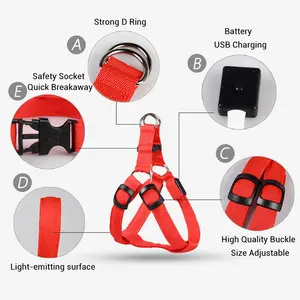USB -LED -Kreuz für Hunde wiederaufladbare Haustierkatze Wanderung Trelah Sicherheitshalsgürtel Nylon Flading Plüschziegenzubehör 12 Hauptverkleidungskatze Katze Schafe - №11