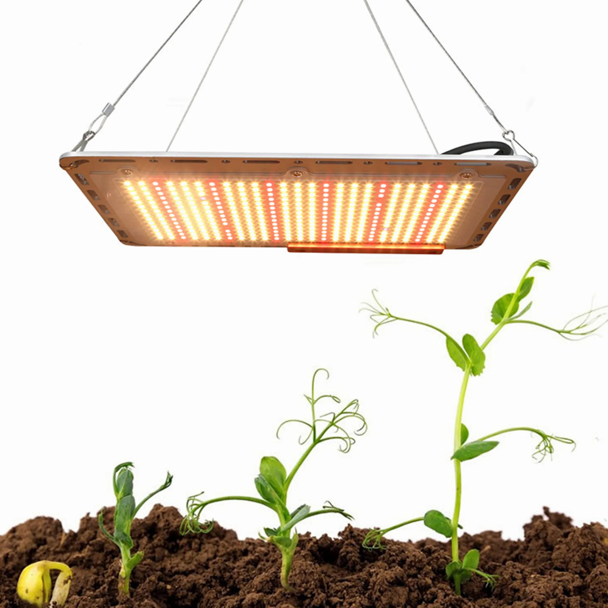 LED Grow Light Samsung 5730 1000W Quantum Sunlike Full Spectrum Phyto Lamp For Greenhouse Plant Growth Lighting.