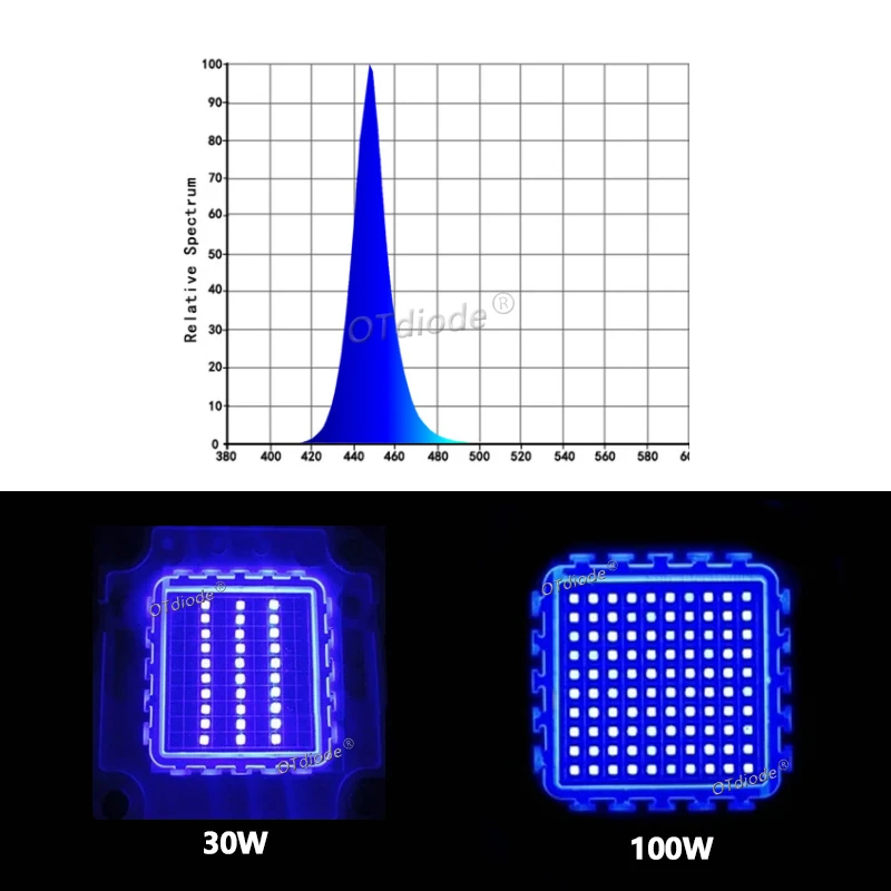 3W 5W 10W 20W 30W 50W 100W Royal Blue LED Grow Chip 440nm 450nm Light Beads Emitter Blub For DIY 10 50 100 Watt Plant Grow Lamp