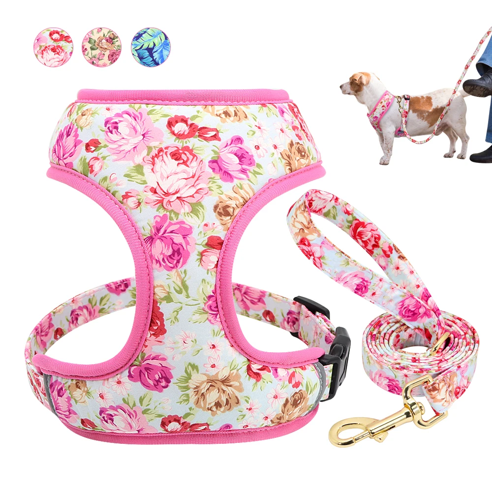 Cute Printed Dog Harness Leash Set Soft Mesh Pet Puppy Cat Harness Adjustable Walking Lead For Small Medium Dogs Cats Chihuahua