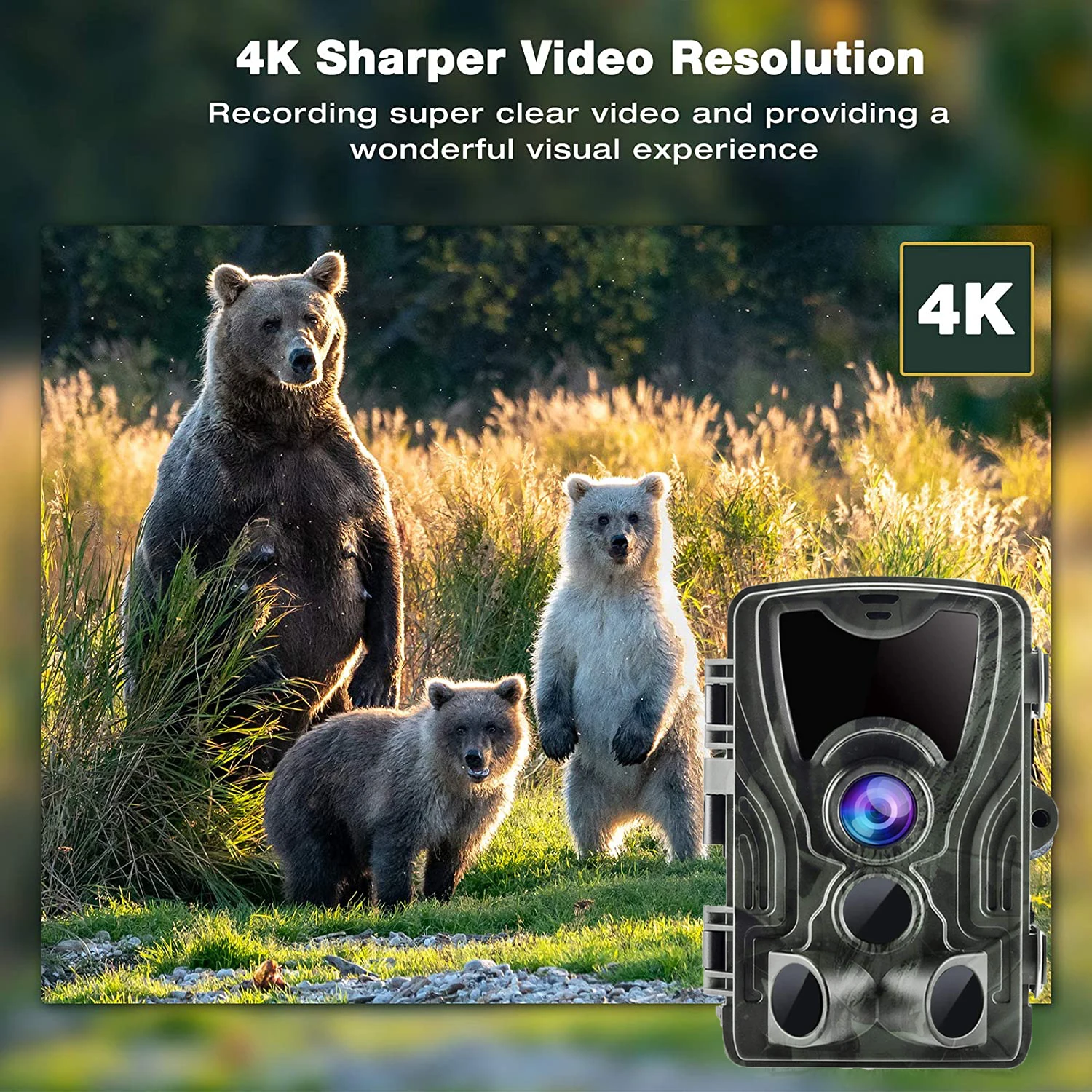 Cámara de rastreo para caza, videocámara 4K con Control por Bluetooth, visión nocturna, trampas para fotos, WIFI801PRO