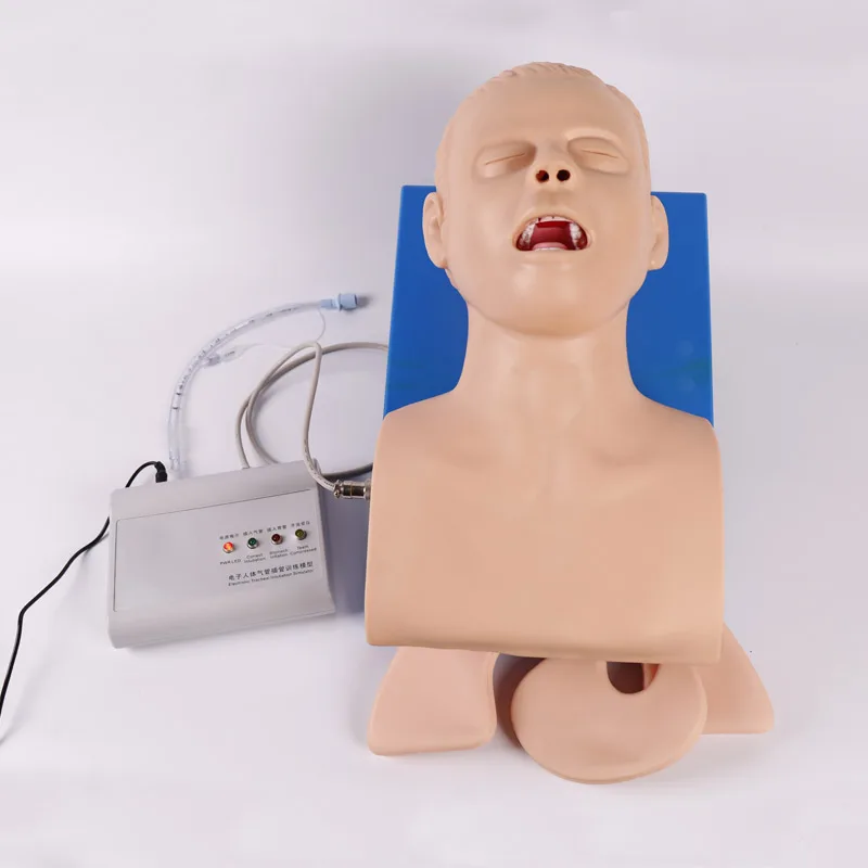 

Advanced Electronic Teeth Pressure Alarm Endotracheal Intubation Training Model BIX-J5S