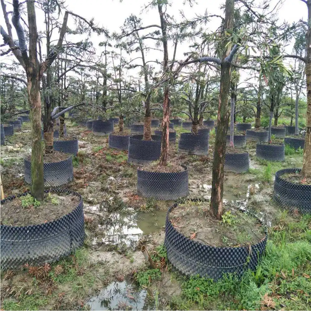 Control de poda de aire de raíces de plantas, contenedor de cultivo de raíces rápido, herramienta de Trasplante de bonsái de árbol de jardín, maceta