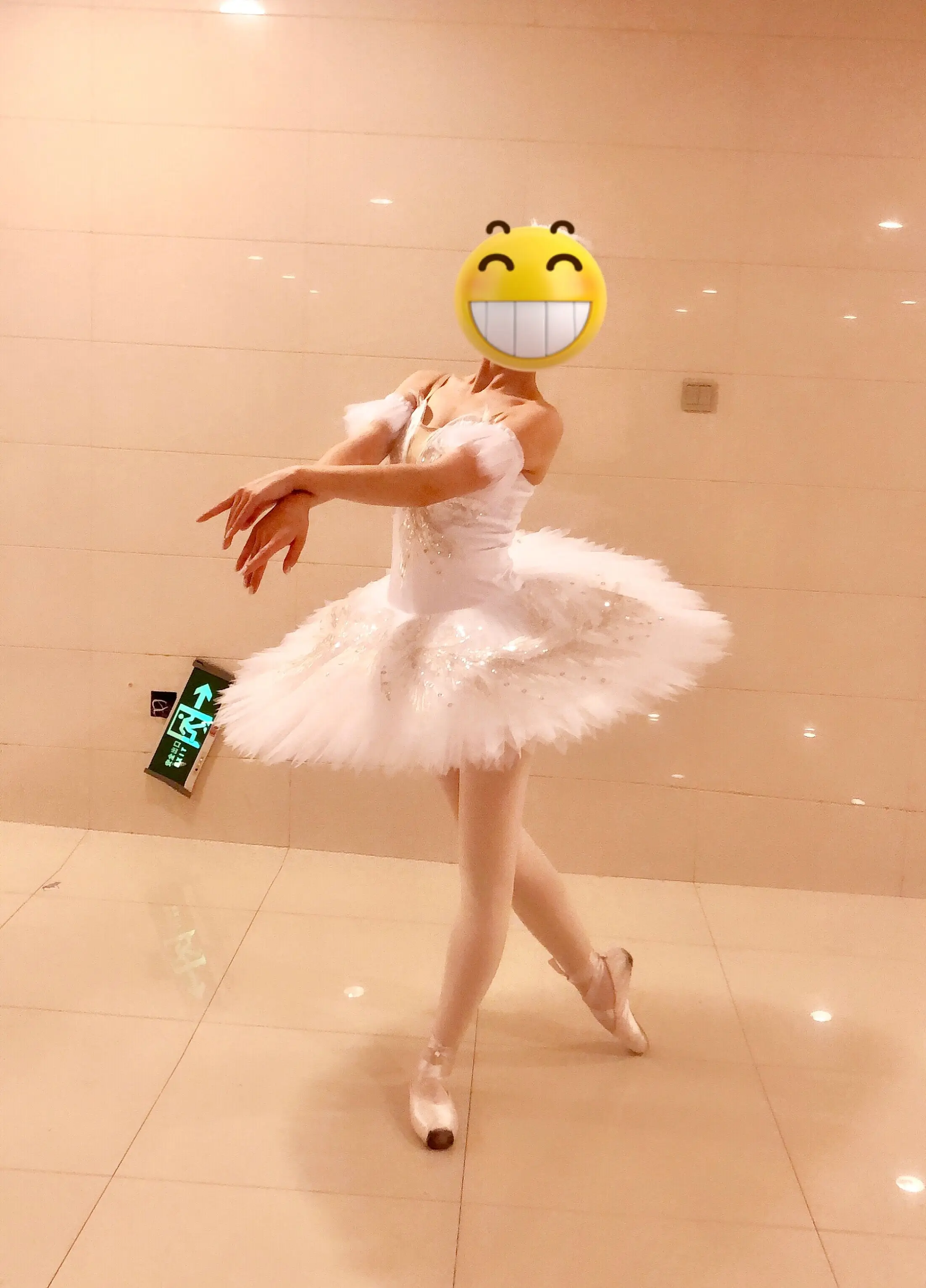 Adult White Swan Lake Ballet Tutu Girls Professional for Performermance Classical ballet tutu pancake BT9035