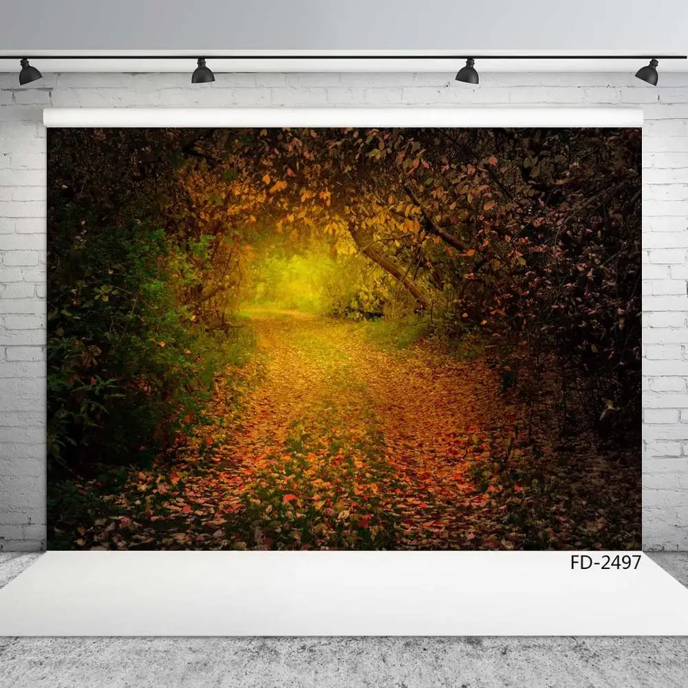 Dreamy Forest Fall Wood Autumn Road Leaf Portrait Children Newborn Photography Background Photographic Backdrop For Photo Studio