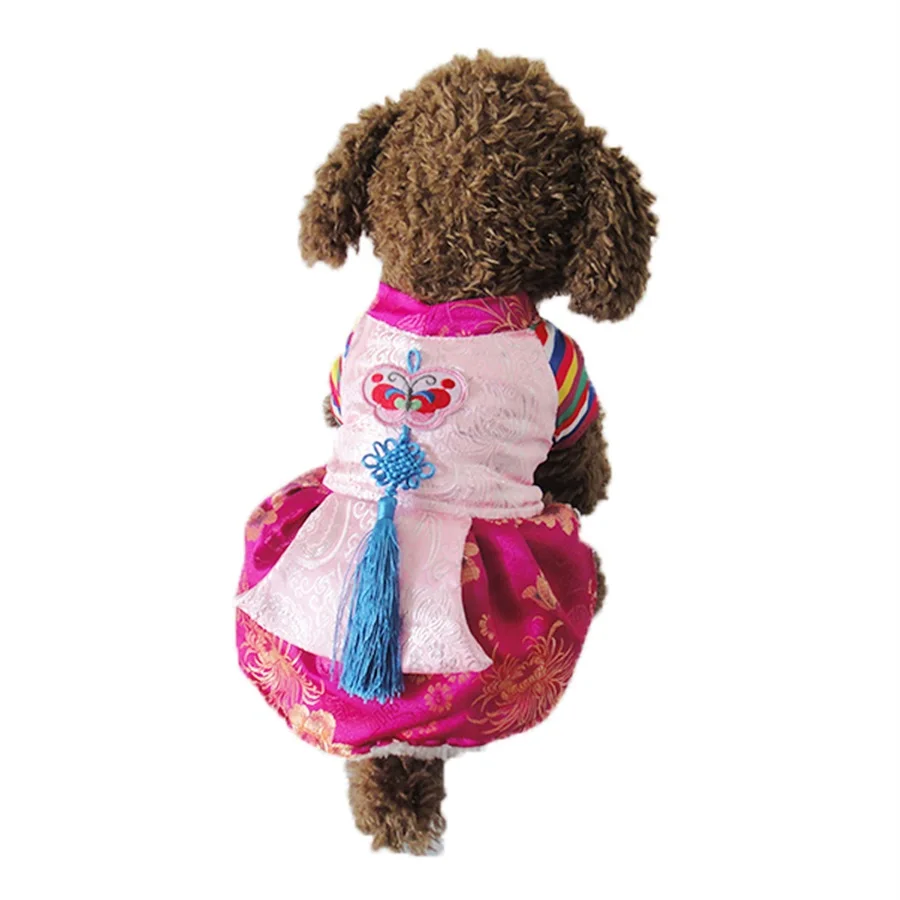 Princess Dress with Embroidery for Small Dogs and Cats, Pet Clothing, Warm Skirt, Classic Clothes, Winter, Pink