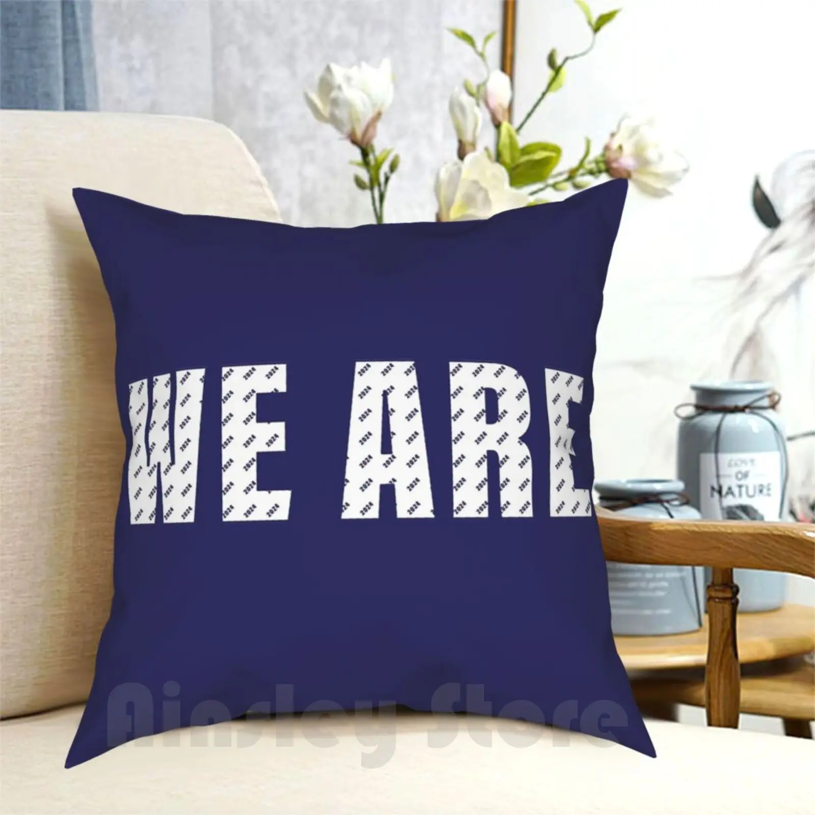 We Are! 2024 Pattern! Pillow Case Printed Home Soft Throw Pillow Class Of 2024 Psu 2024 2024 Freshmen Psu 24 24 Nittany