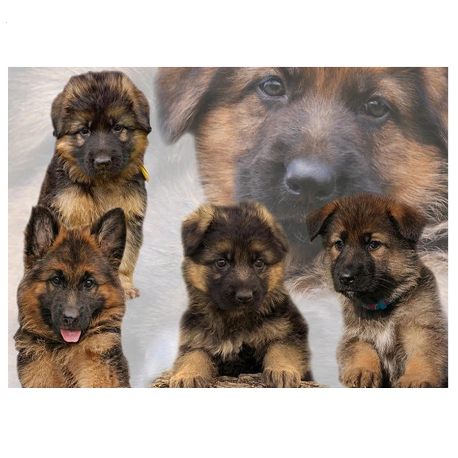 5d Diy Cross Stitch Diamond Painting Full Round Diamond Mosaic German Shepherd Embroidery Rhinestones Home Decoration JS5600