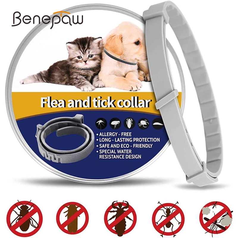 #4 Latest Pet Flea & Tick Control Offers