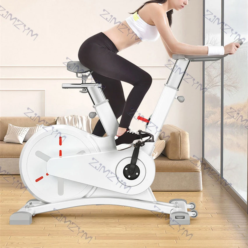 Spinning Bike Fitness Sports Exercise Magnetic Bike Home Gym Indoor-Cycling Mute Dynamic Bicycle Cycling Equipment 120kg Load