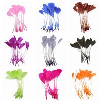 Beautiful Goose Feathers for Crafts 5-7 \