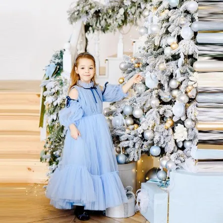 

Elegant Blue Tulle Flower Girl Dresses Cap Sleeves High Neck Ruffles Kids Pageant Gowns For Photo Shoot