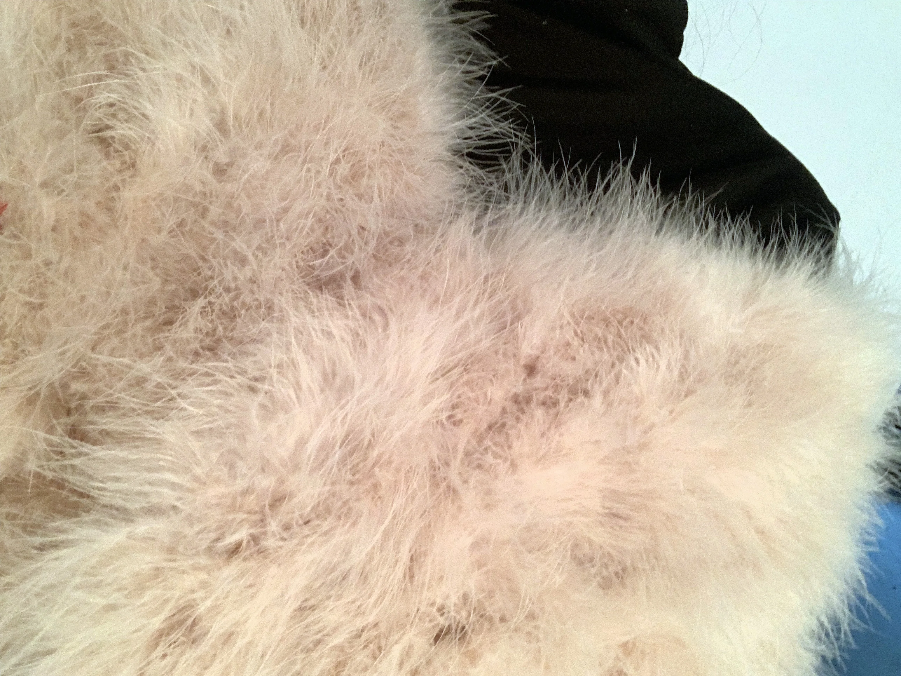 Linhaoshengyue  Fashion Ostrich   Fur    Small  Shawl of Length 120cm