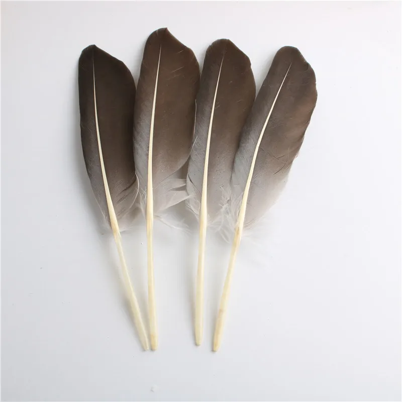 

Wholesale Turkey Feathers 10-12inch/25-30cm Accessories for Christmas Carnival Home DIY Plumas De Faisan