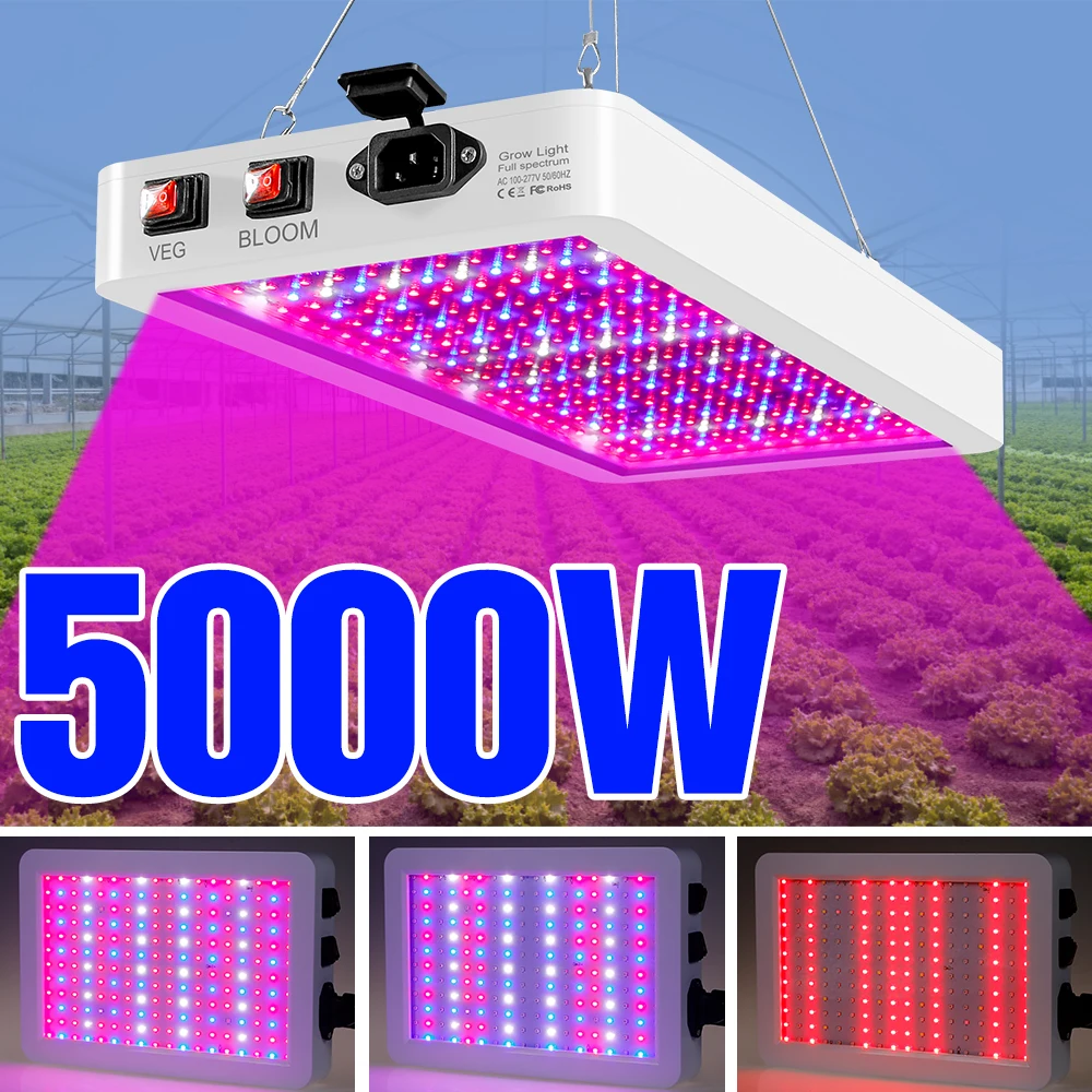 4000W Grow Light Full Spectrum Lamp For Plants 5000W Phyto Light Greenhouse UV Lamp Plants Seeds Veg LED Fitolamp US/EU/UK Plug