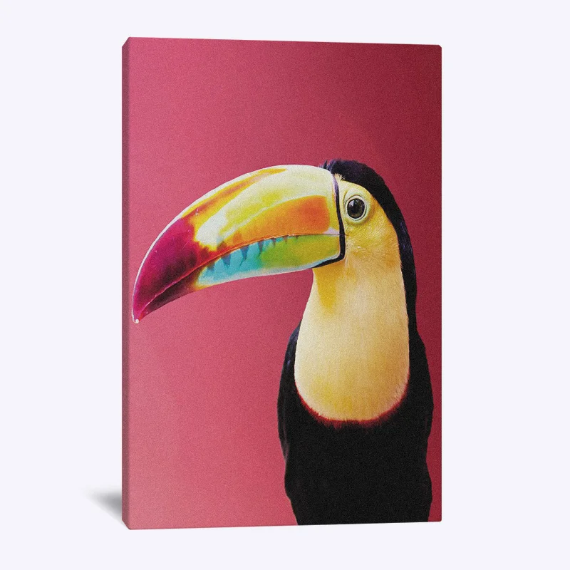 

Toucan Canvas Wall Art Decoration poster prints for living room Home bedroom decor Painting