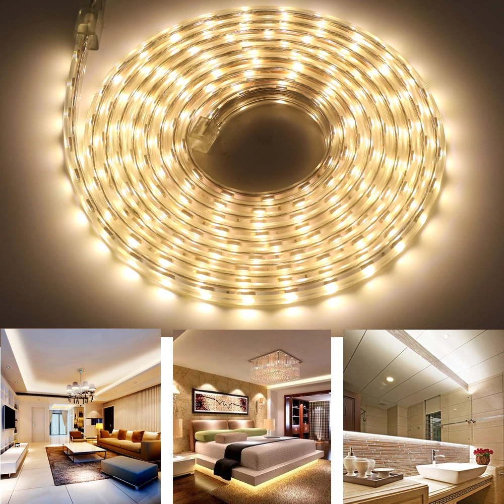 Tira de luces LED Flexible de 220V, cinta impermeable SMD 5050 de 60leds/m, 1m, 5m, 10m, 15m, 20m, 100m, color blanco cálido/Blanco/RGB con enchufe