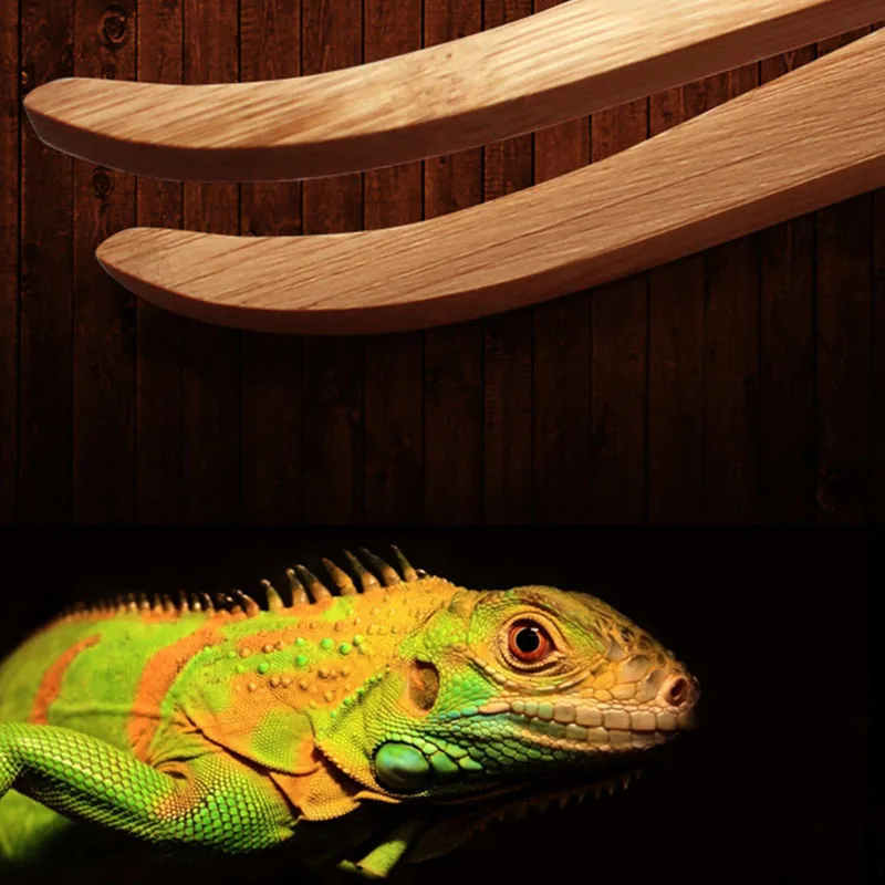 New Angled Reptile Terrarium Feeding Tongs Tweezers Eco-Friendly Bamboo Feeding Tool