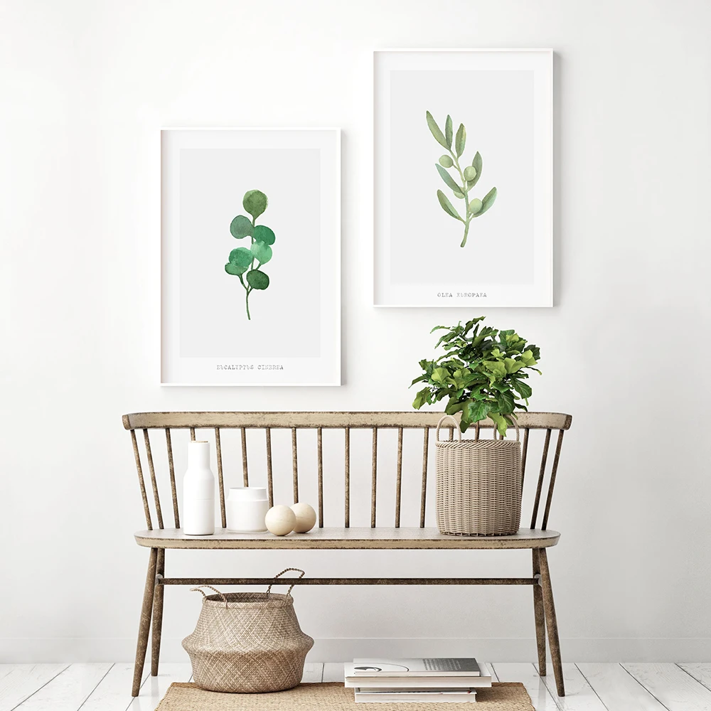 

Minimalist Poster Eucalyptus And Olive Leaf Canvas Painting Botanical Art Print Modern Wall Picture For Living Room Home Decor