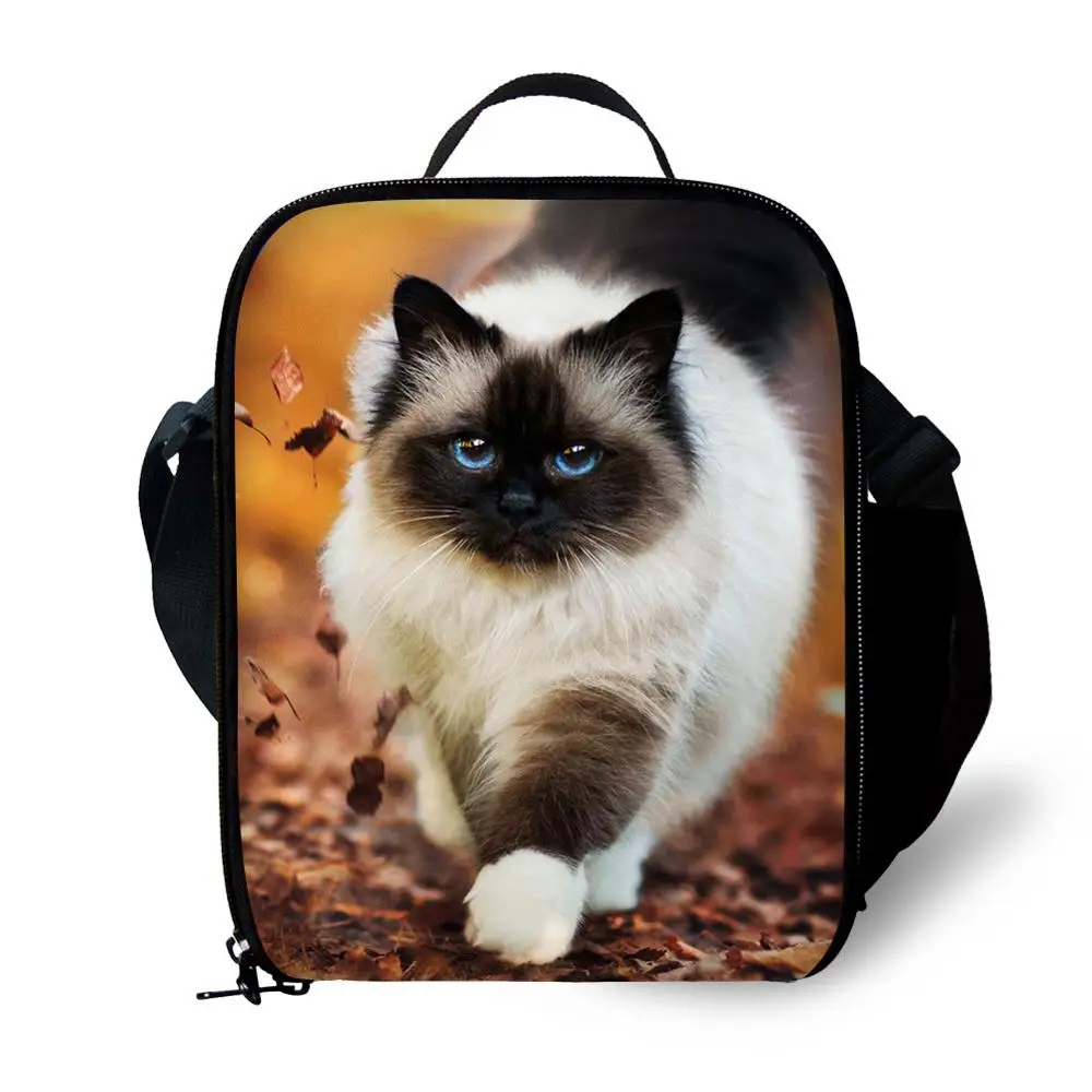 

Kitten Cat Print Kids Lunch Bag Durable Insulated Lunchbox Small Black Lunch Box for Children Boys Customized cooler Bag