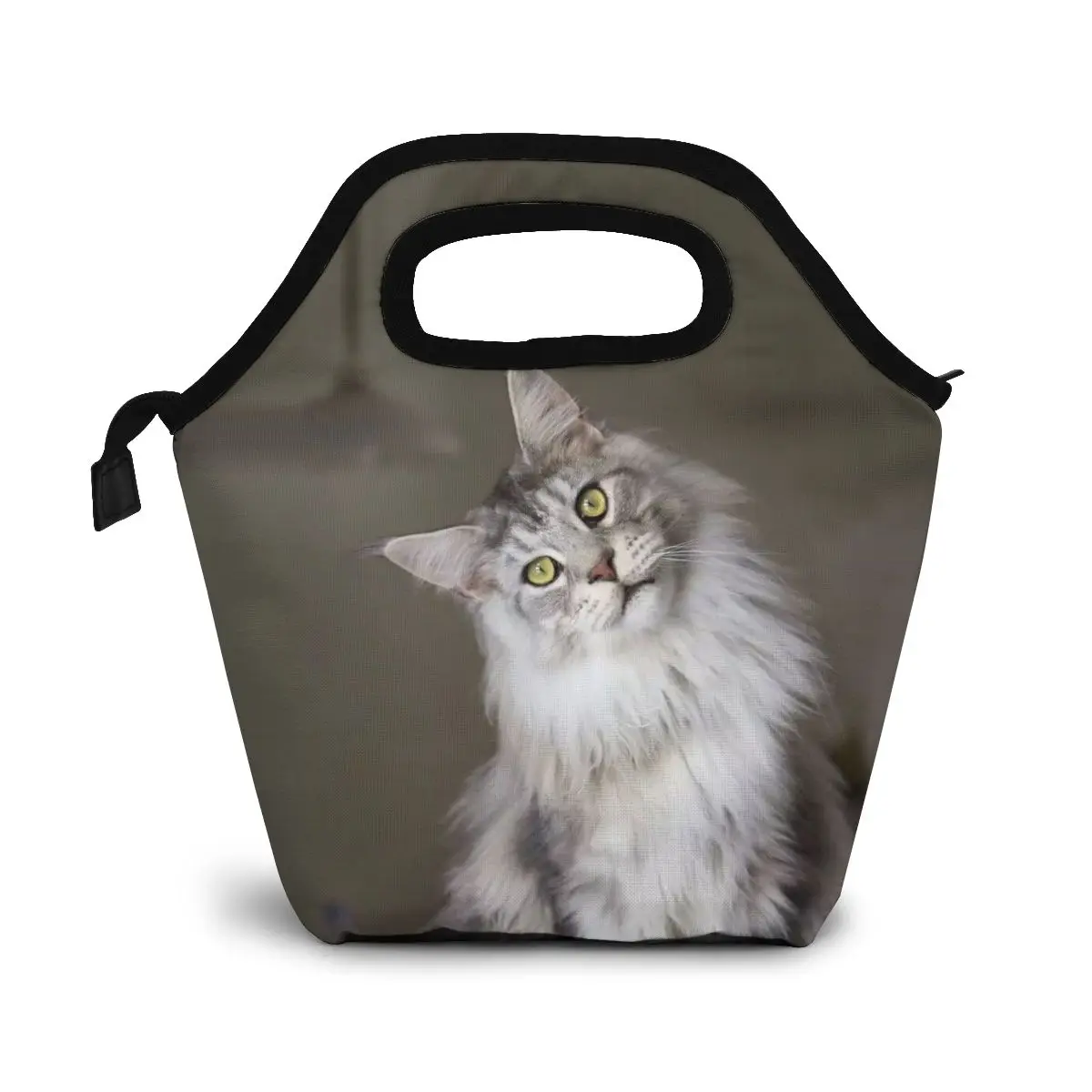 

NOISYDESIGNS Cooler Lunch Bag For Picnic Kids Women Maine Coon Cat Print Travel Thermal Insulated Waterproof Storage Lunch Box