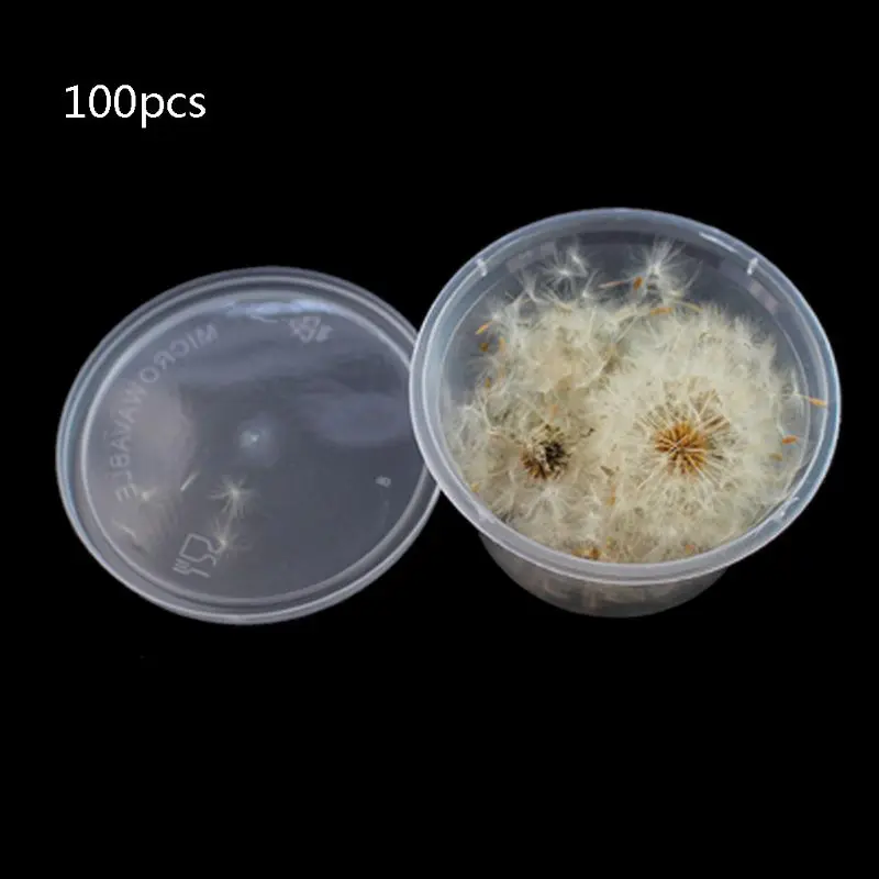 100Pcs Natural Dandelion Seed Small Glass Ball Fillings Resin Wish Dried Pressed Flower Earrings Necklace Jewelry Making