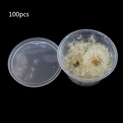 100Pcs Natural Dandelion Seed Small Glass Ball Fillings Resin Wish Dried Pressed Flower Earrings Necklace Jewelry Making
