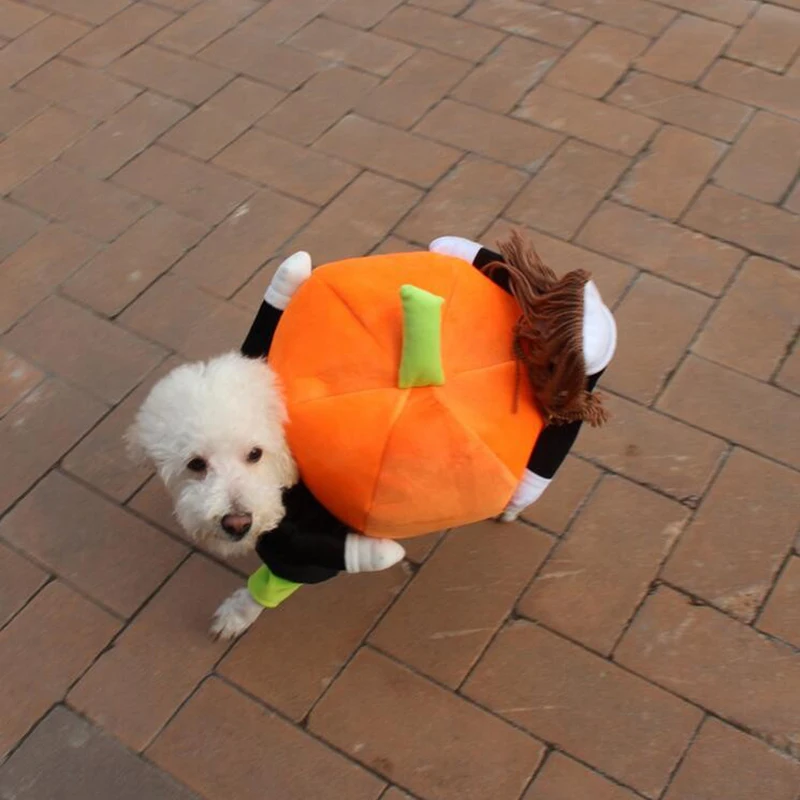 Pet Party Costume Dog Costumes Halloween Pumpkin Pet Coat Small Dog Super Cute Costumes Fancy Pet Funny Christmas Clothes