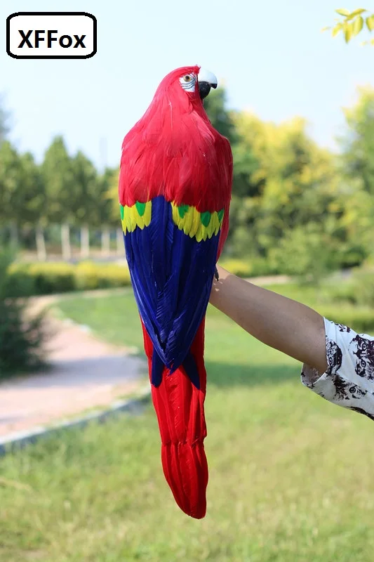 big real life red parrot model foam&feather turned parrot bird gift about 60cm xf2625